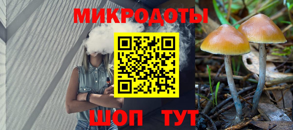 Псилоцибиновые грибы Psilocybine cubensis Туймазы